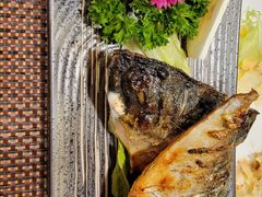 -樱の千渡日式料理·铁板烧•烧鸟(金盛田广场店)