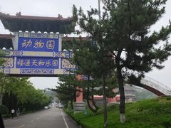 -西霞口神雕山野生动物世界