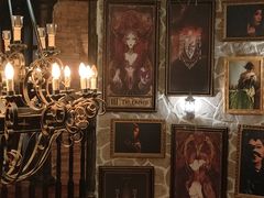-雪灵魔法世界SHELLY’S TAROT(大良桂畔里店)