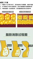 -Fundi张玉珊修身堂·indiba·BTL科技瘦身