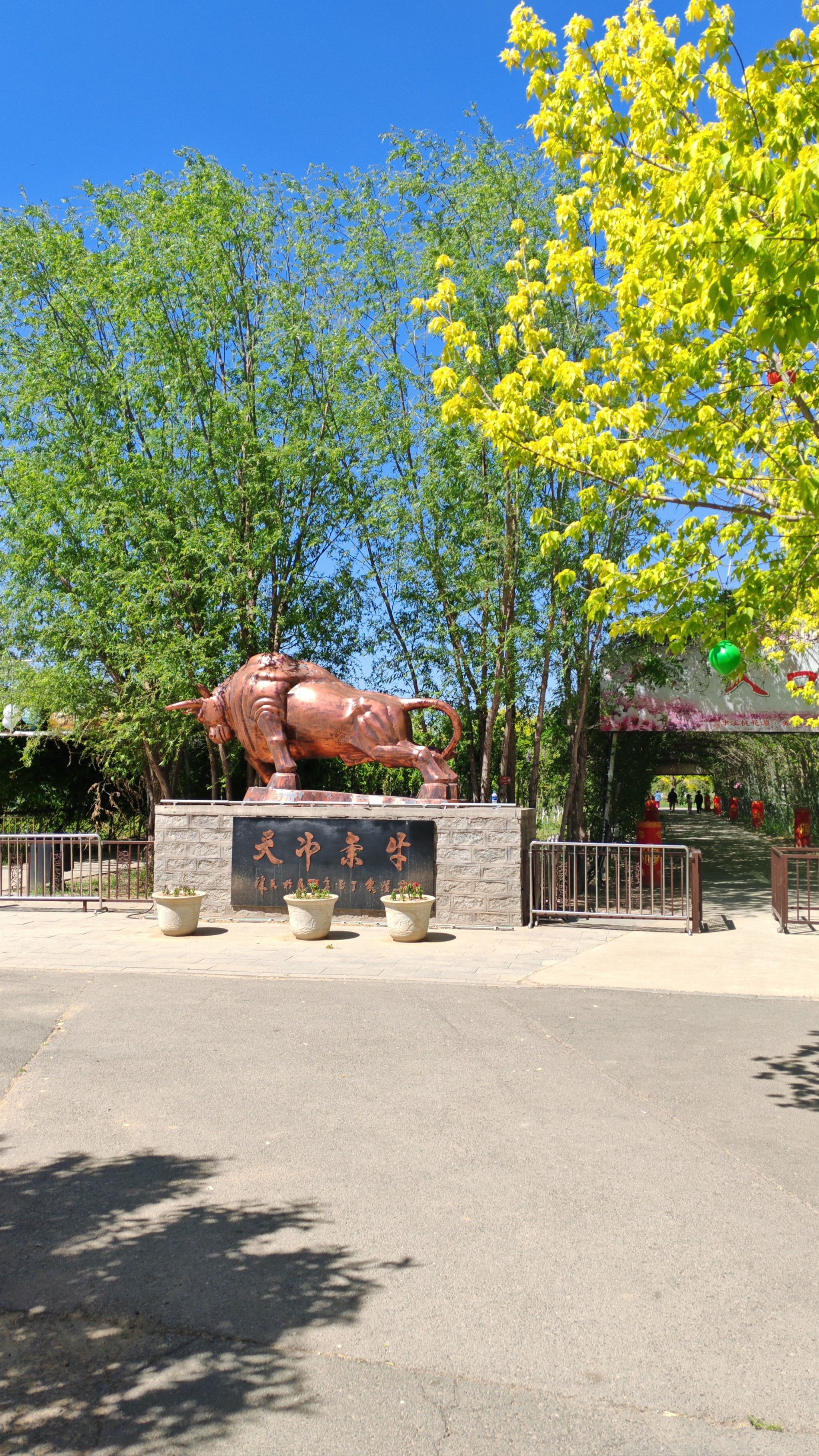 津溪桃源五一期间免费开放,停车也免费哦!