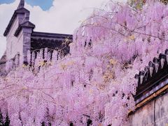 -老门东历史文化街区