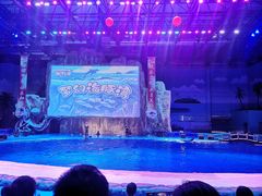 -华夏文旅海洋公园