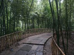 -乌镇东栅景区