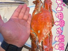 -争先鲜·蒸汽海鲜自助·鲜切牛肉