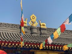-西安市广仁寺