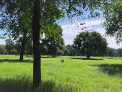 -承德避暑山庄景区
