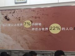 -北大学一食堂