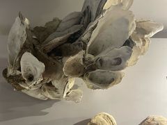 -华侨城湿地公园