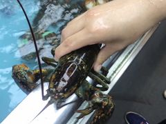-盒马鲜生(宝地店)