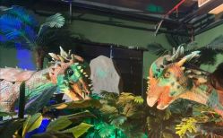 -恐龙探索乐园(磁器口店)