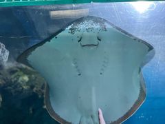 -福州罗源湾海洋世界旅游区