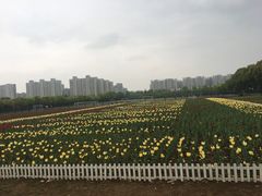 -仙林宾馆-餐厅