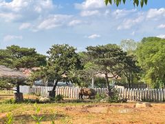 -沈阳森林动物园