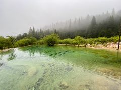 -黄龙山原始森林景区