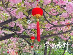 -龙华寺