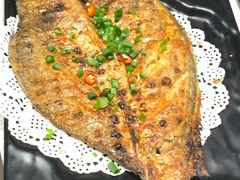 -九府羊·鲜羊火锅·烤串(新华路店)