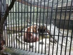 -海南热带野生动植物园