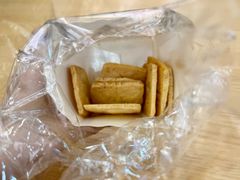 -深圳温德姆至尊酒店·大堂吧·户外花园