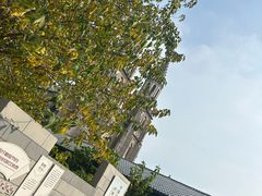-洪家楼教堂