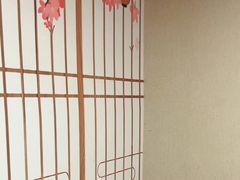 -剧狐剧本杀(徐汇1号店)