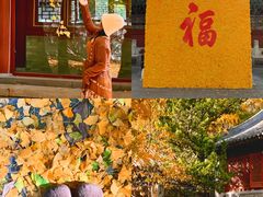 -潭柘寺景区