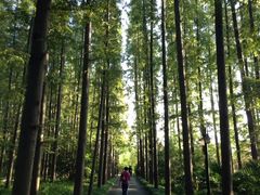 iphone_upload_pic-上海怡沁园度假酒店