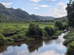 -中国茶叶博物馆(双峰馆区)