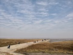 -南汇嘴观海公园