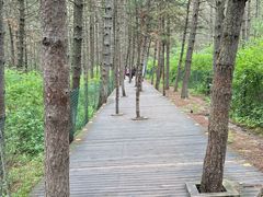 -帽儿山国家森林公园