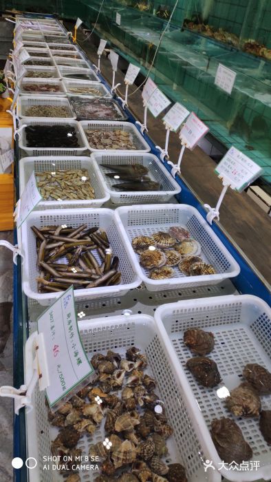 海岛渔村大酒店(云霄路店)图片