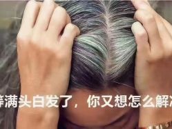 -诗碧曼·头疗养发馆