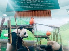 -柳州市动物园