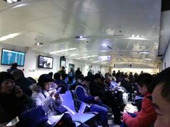 -宠爱国际动物医院· 猫科· 外科·中兽医(长白店)