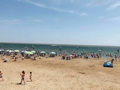 -碧海金沙