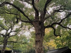 -惠山古镇·寄畅园