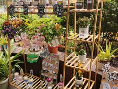 -福州淑佩小金星幼儿园