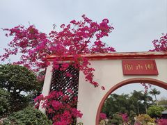 -盈香心动乐园