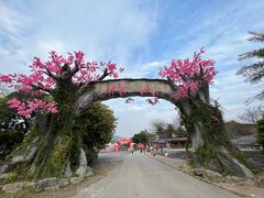 -天适樱花悠乐园