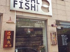 -巴浪鱼咖啡馆 Local Fish