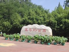 -莲花池公园