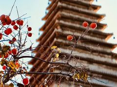-北京石刻艺术博物馆(五塔寺)