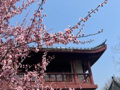 -堤角公园