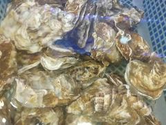 -大众海鲜(巨龙北路店)