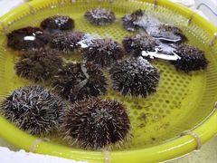 -板桥海鲜广场(文明东店)