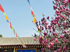 -西安市广仁寺