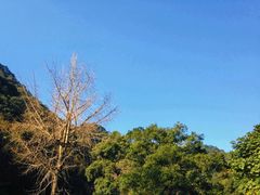 -宁海森林温泉