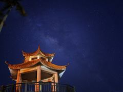 -东郊椰林
