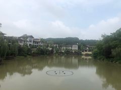 -铁山坪森林公园