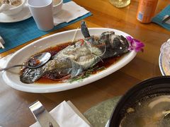 -糟粕醋·椰苑海南菜餐厅(亚龙湾天域酒店)